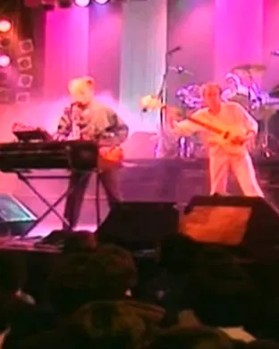 A Flock Of Seagulls Napa