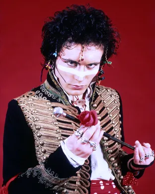 Adam Ant Napa