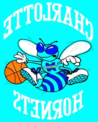 Charlotte Hornets Charlotte