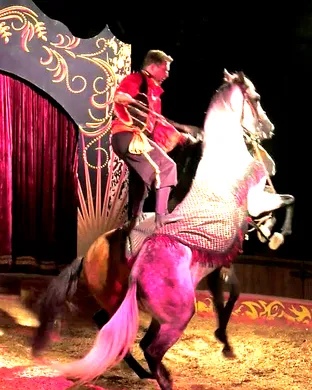 Cirque Ma'Ceo