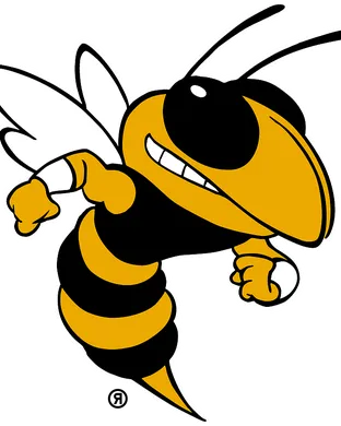Georgia Tech Yellow Jackets Stanford