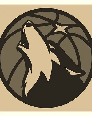 Minnesota Timberwolves Minneapolis