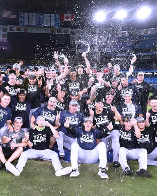 New York Yankees Bronx