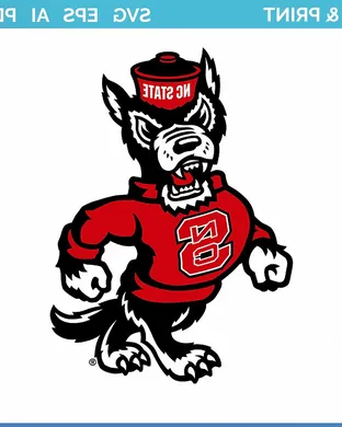 North Carolina State Wolfpack Stanford