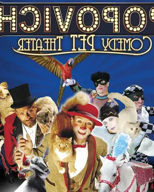 Popovich Comedy Pet Theater San Francisco