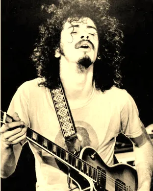 Santana Mountain View