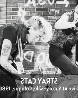 Stray Cats Saratoga