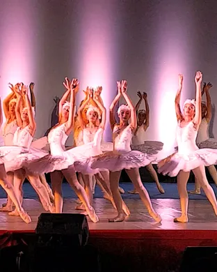 Swan Lake San Francisco