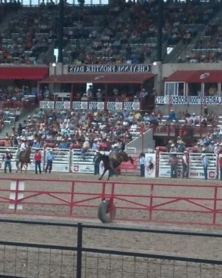 CCPRA Rodeo Santa Rosa